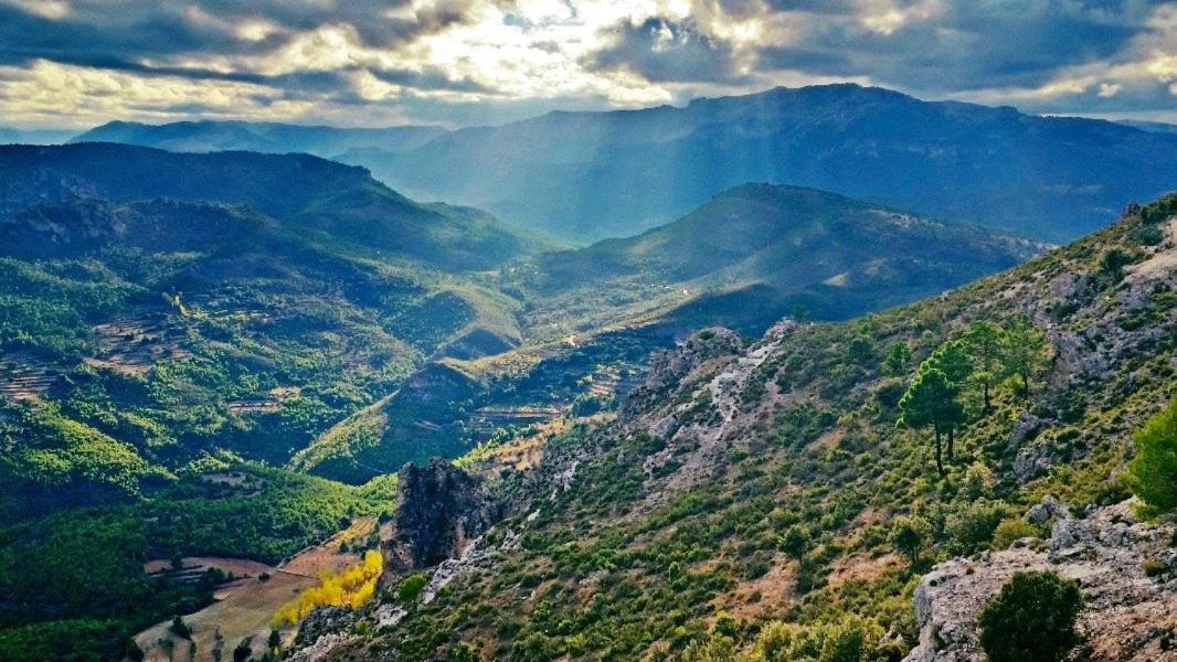 Casas Rurales Camaretas Yeste Esterno foto
